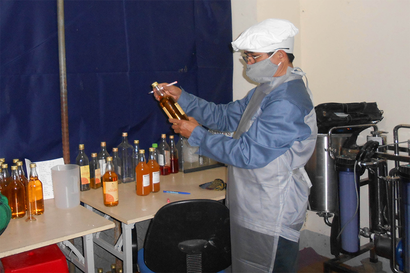 Đa dạng hóa sản phẩm từ cam tại huyện Con Cuông