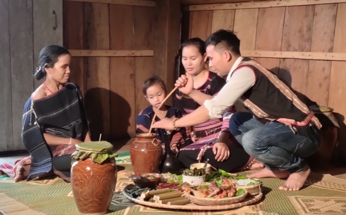 Một số kết quả ở giai đoạn đầu thực hiện đề tài tại tỉnh Gia Lai