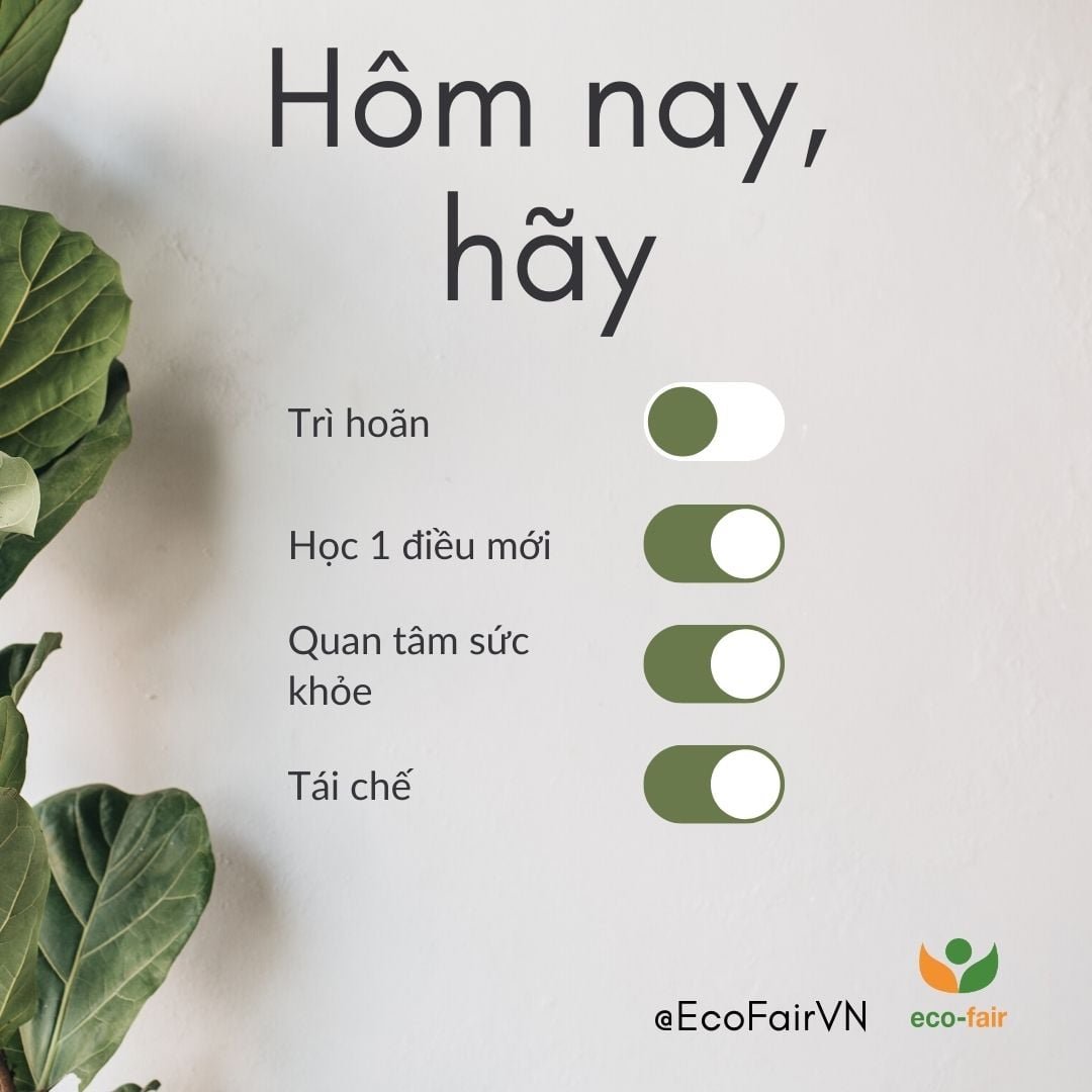 Cách chúng ta tiêu dùng đang ảnh hưởng như thế nào đến trái đất?