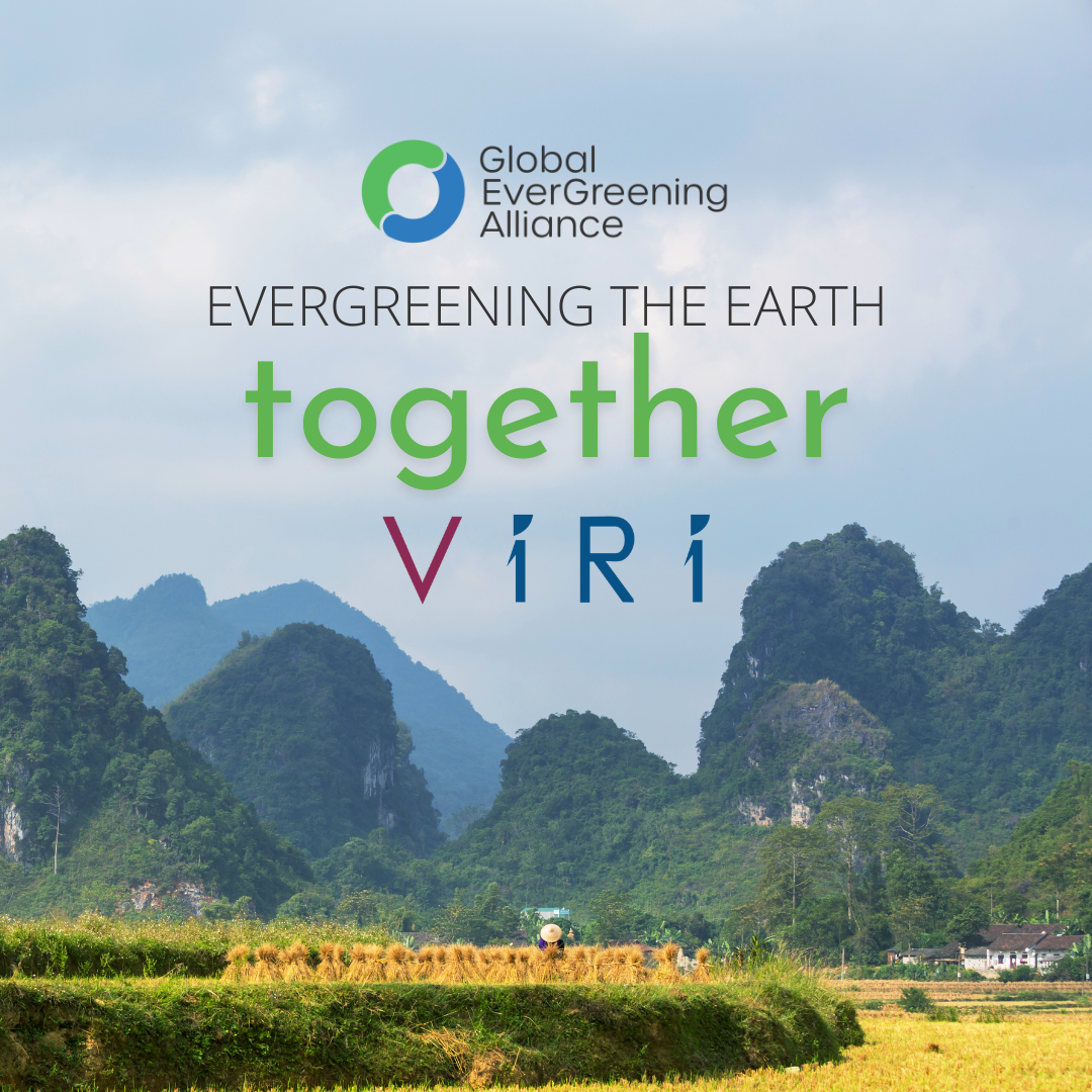 VIRI tự hào được làm thành viên của Liên minh EverGreening Toàn cầu
