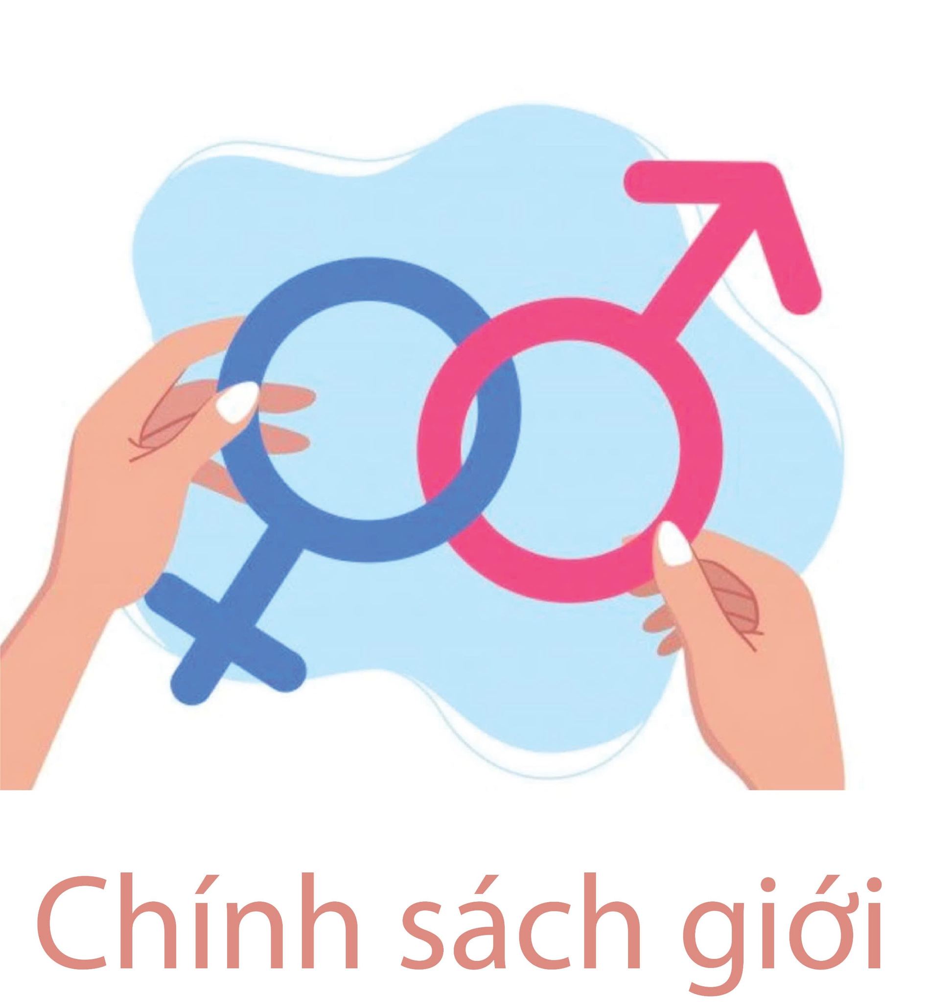 Chương trình xây dựng chính sách toàn diện về giới tại các đơn vị sản xuất thuộc ngành dệt may