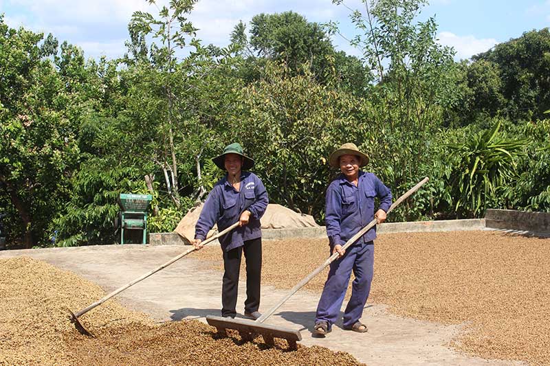 Ea Kiet Fair Agricultural Service Cooperative