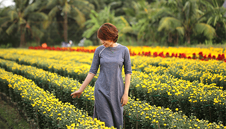 Vườn đào Nhật Tân – Làng hoa ở Hà Nội nổi tiếng nhất