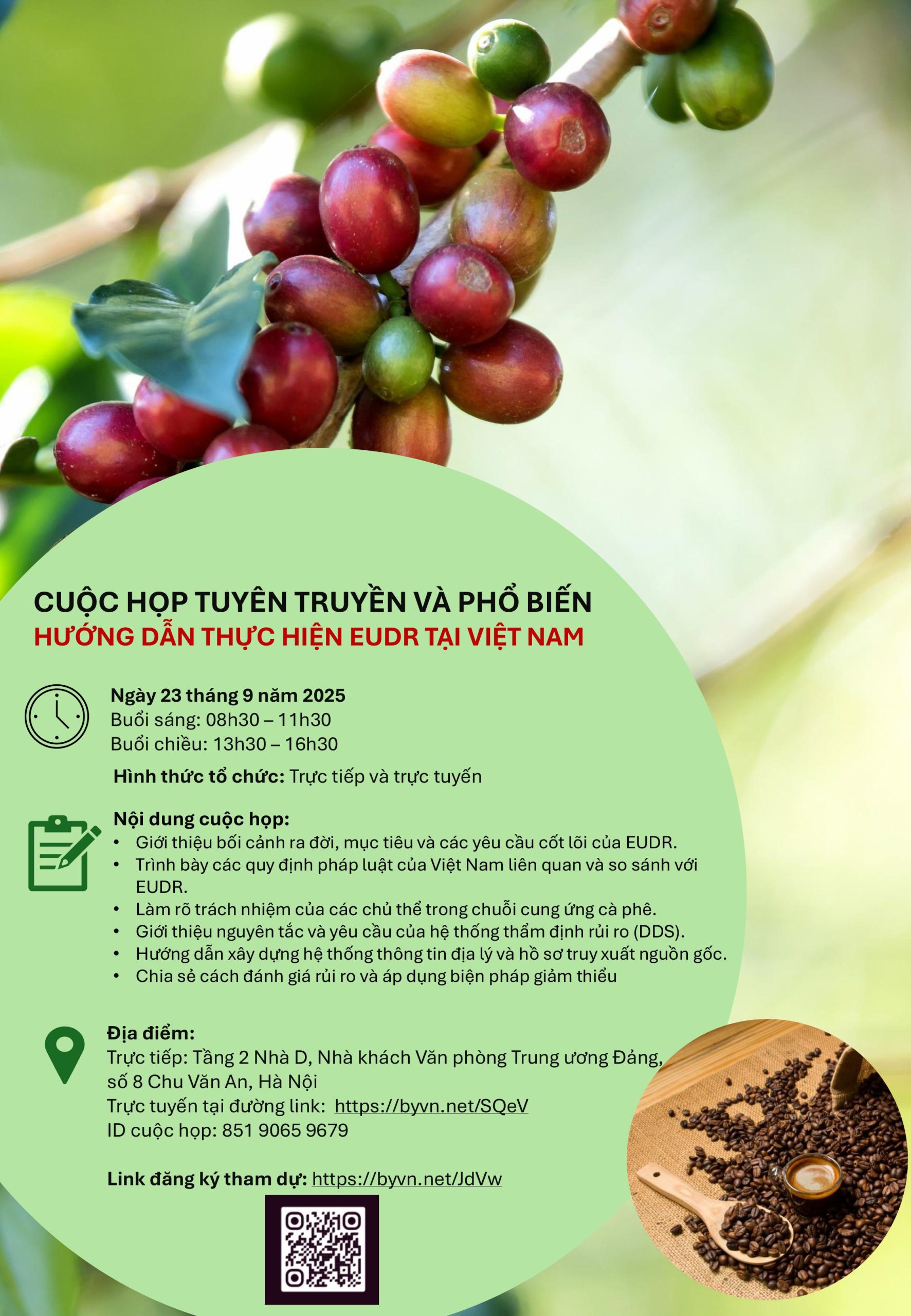 Supporting Small and Medium-Sized Enterprises in Implementing the Deforestation-free Regulation (EUDR)